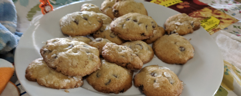 chocolate chip cookie 2 plated